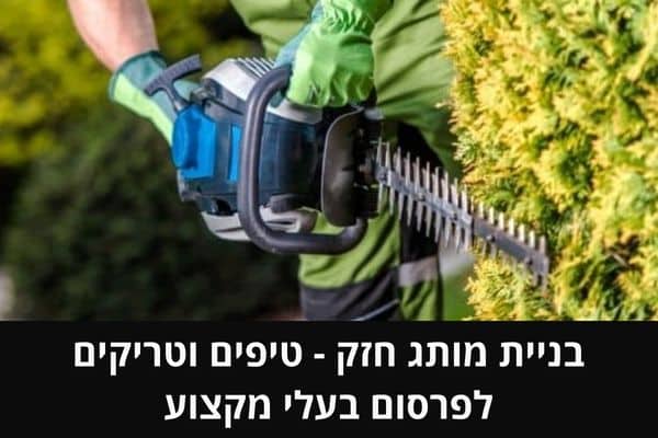 בניית מותג חזק - טיפים וטריקים לפרסום בעלי מקצוע